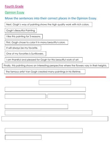 Opinion Essay