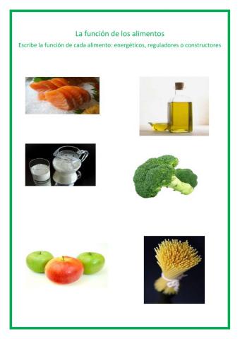 Función de los alimentos