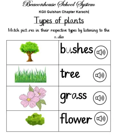 Types of plant