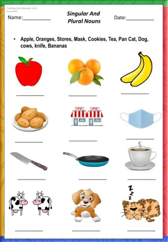 Singular and Plural nouns