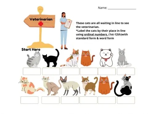 Cat Ordinal numbers