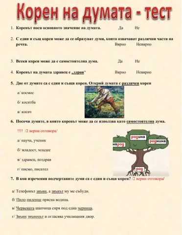 Корен на думата