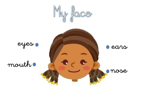 My face