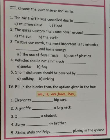 Choose the best answer