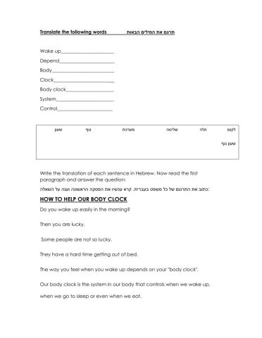 How Our Body Clocks Work