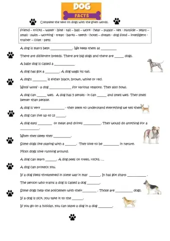 Description of a dog