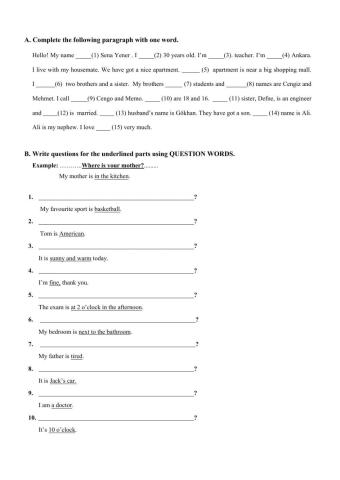 WH questions & pronouns