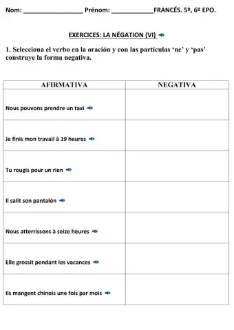 Ficha LA NEGACIÓN (VI) FRANCÉS
