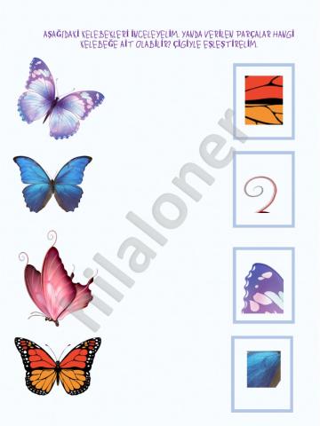 Parça-bütün ilişkisi