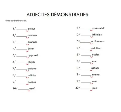 Adjectifs démonstratifs