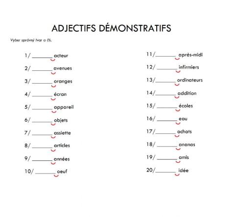 Adjectifs démonstratifs