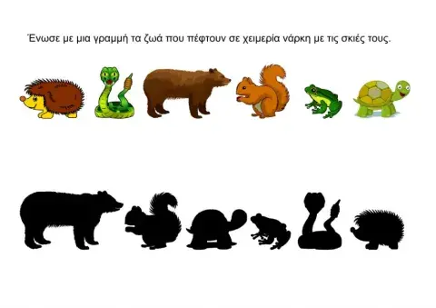 Ζώα σε χειμερία νάρκη