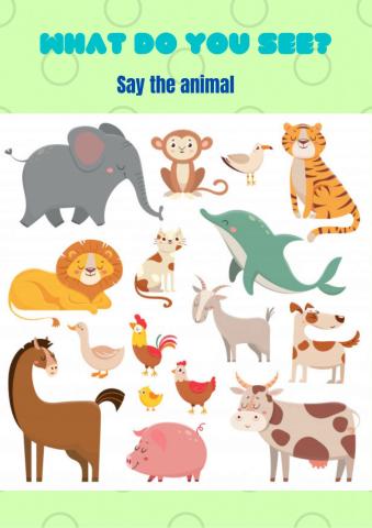 What do you see?Say the animal