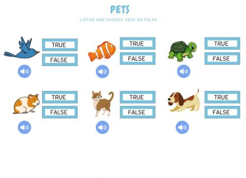 Pets true or false