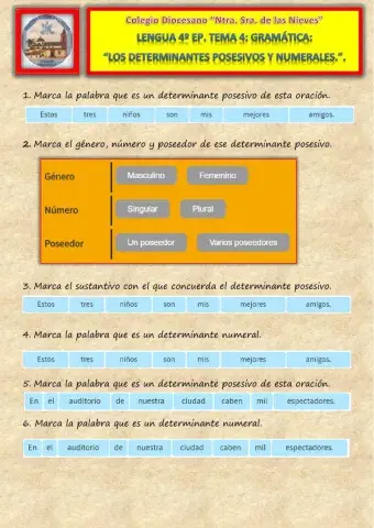 Tema 4. Gramática. Los determinantes posesivos y numerales.