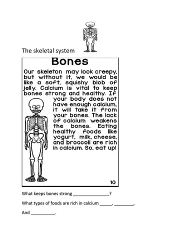 Skeletal system