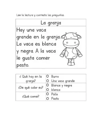 Comprension de lectura