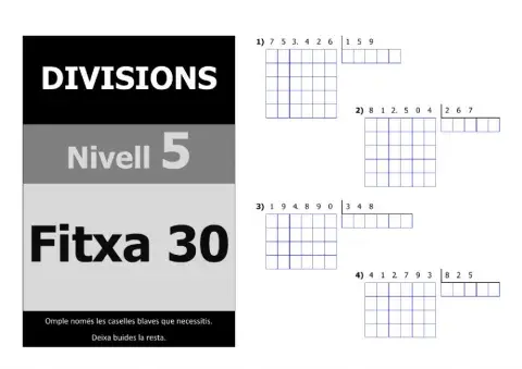 Divisions nivell 5 - 5è nivell - Fitxa 30