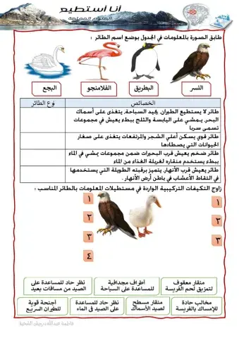 تكيف تركيبي