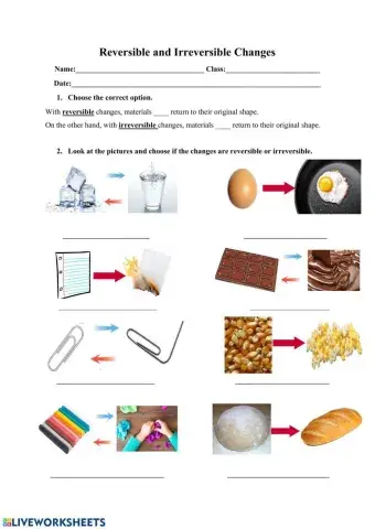 Reversible and irreversible changes