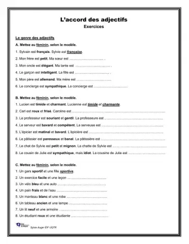 L'accord des adjectifs