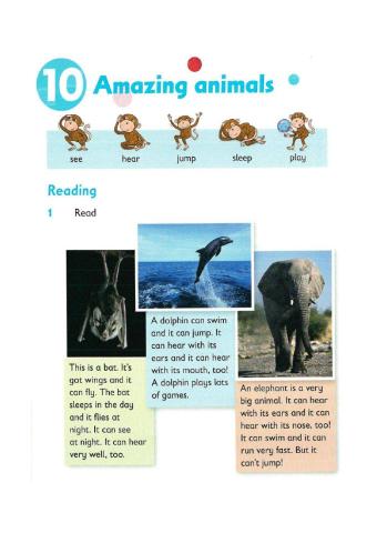 Reading and writing - Amazing animals