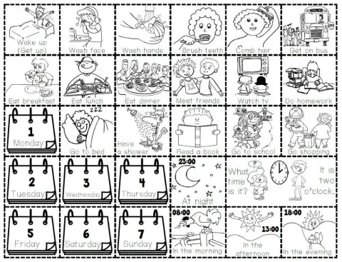 4.5. My Day - Daily Routines