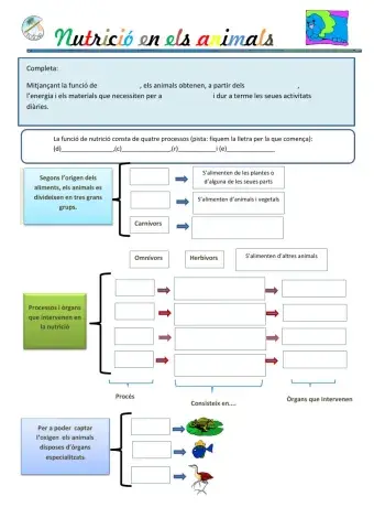 La nutrició en els animals