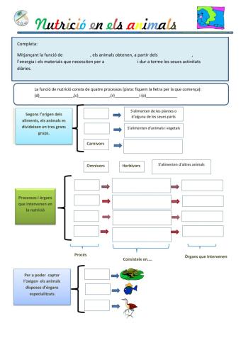 La nutrició en els animals