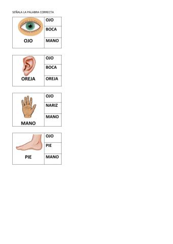 Elige la palabra correcta