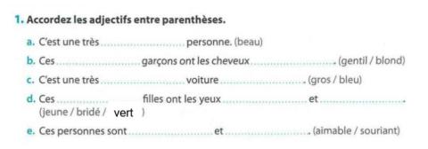 Les adjectifs qualificatifs - 6