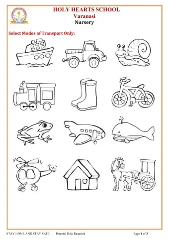 Nursery EVS Transport