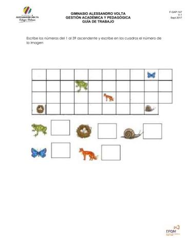 Conteo ascendente y descendente