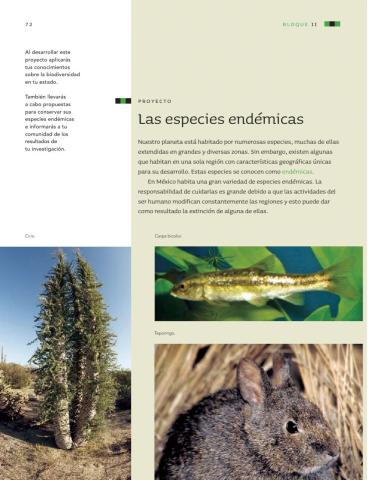 Especies endemicas
