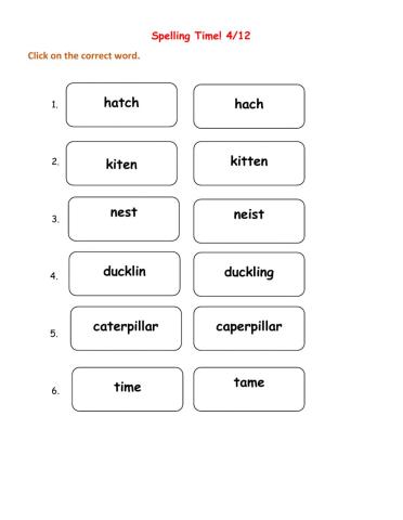 Vocabulary words