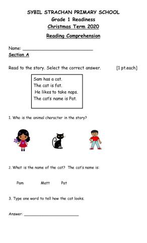 Reading Cmprehension