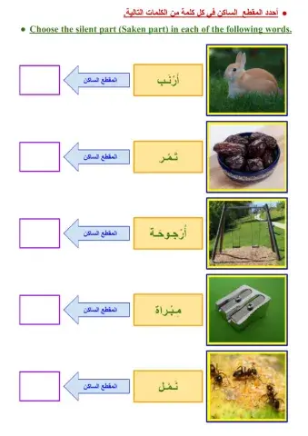 المقطع الساكن - 2