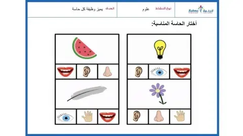 مهارات حسية