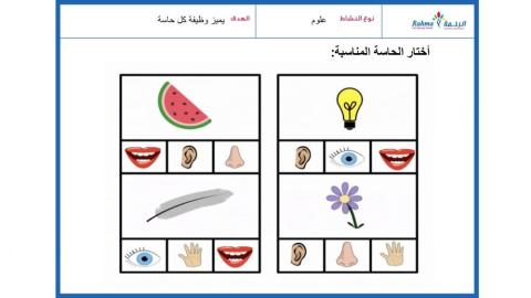 مهارات حسية