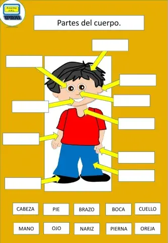 Partes del cuerpo.