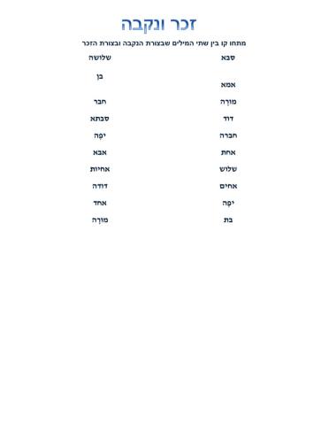 מתחו קו בין שתי המילים שבזכר ובנקבה