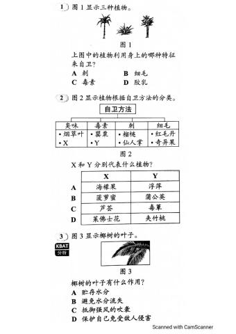 植物的生命过程 - 评估（1）