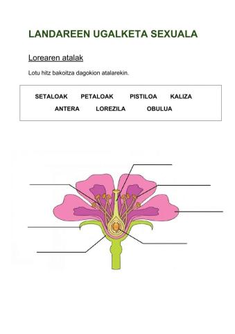 Landareen ugalketa sexuala