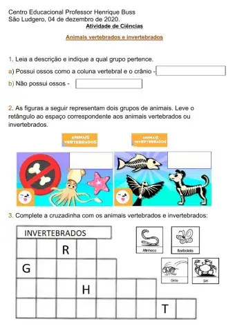 Animais Vertebrados e Invertebrados