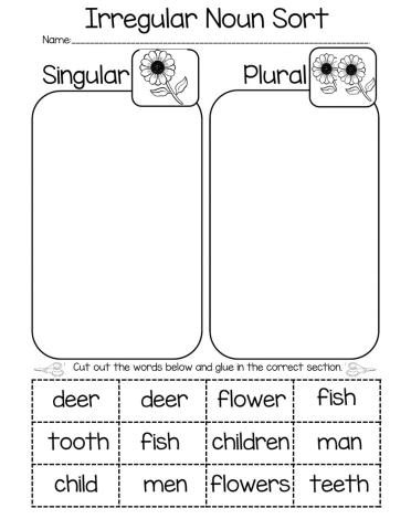 Plural Nouns Sorting
