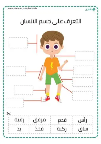 اجزاء الجسم