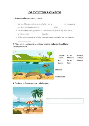 Los ecosistemas acuáticos