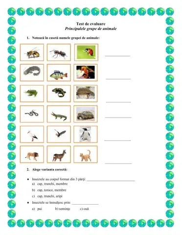 Principalele grupe de animale