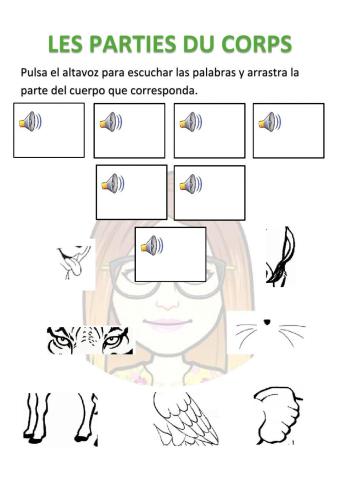 Les parties du corps des animaux