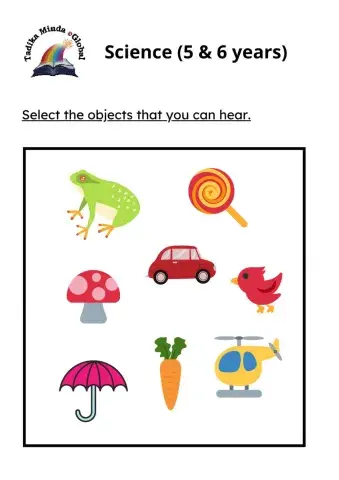 5 & 6 Years: Science (Senses)